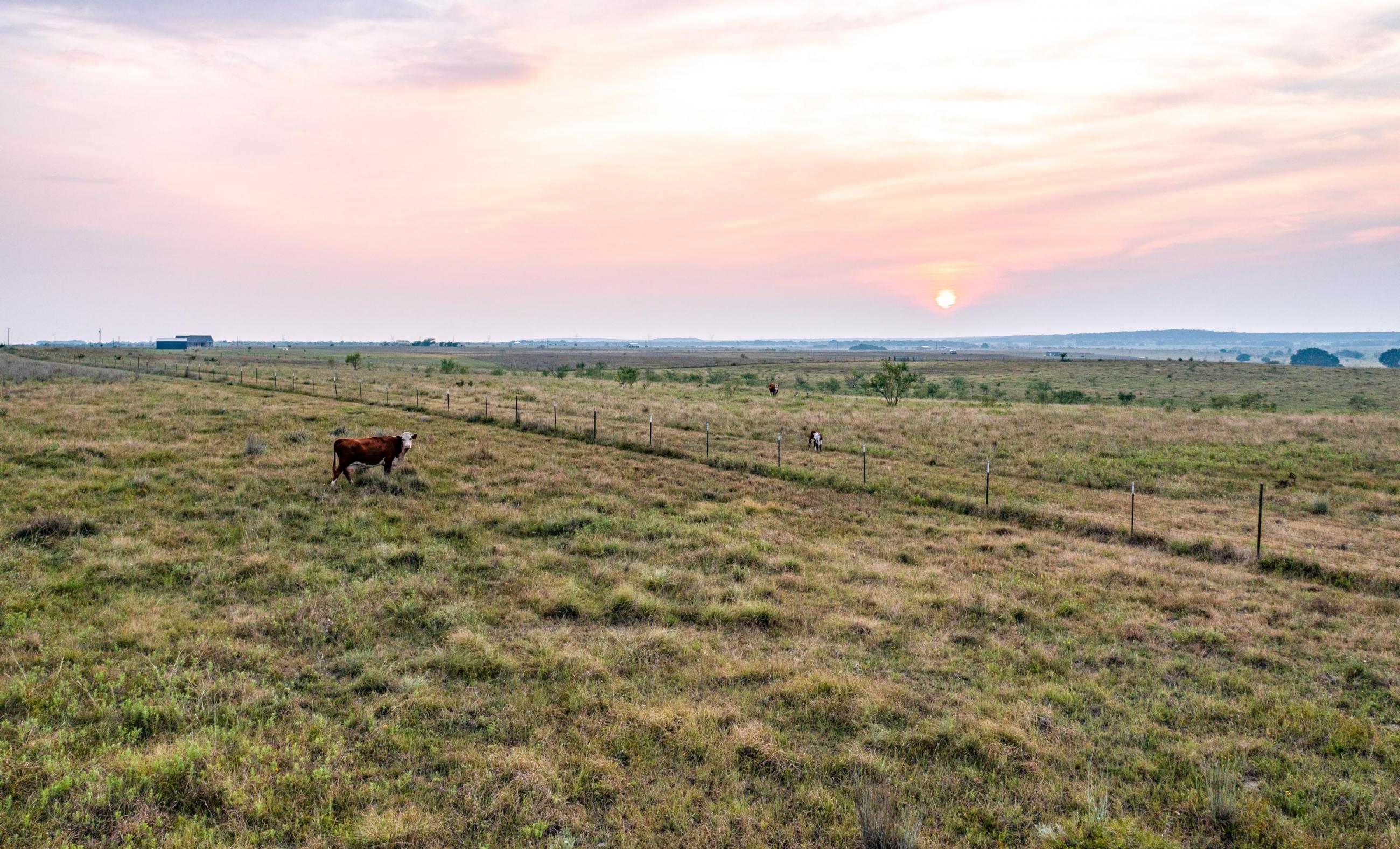 Procter P7 Patterson Creek Ranch Chas S. Middleton